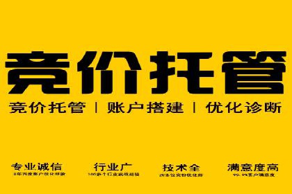 某某SEM服务公司：一例广告投放的优化与成果